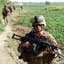 Chronology: The Afghanistan War