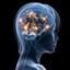 What is Intelligence?