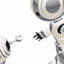 Social Robots