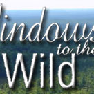 Windows to the Wild
